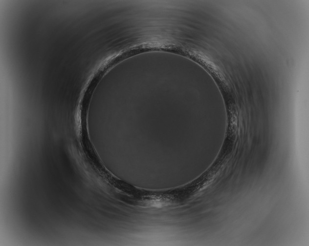 X0000093530678200710121600