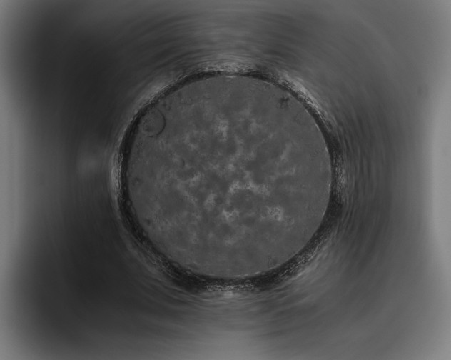 X0000093530679200710121559