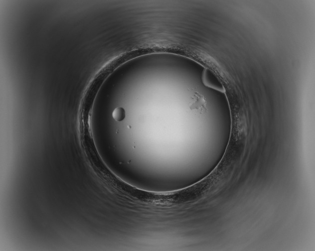 X0000093530680200710121559