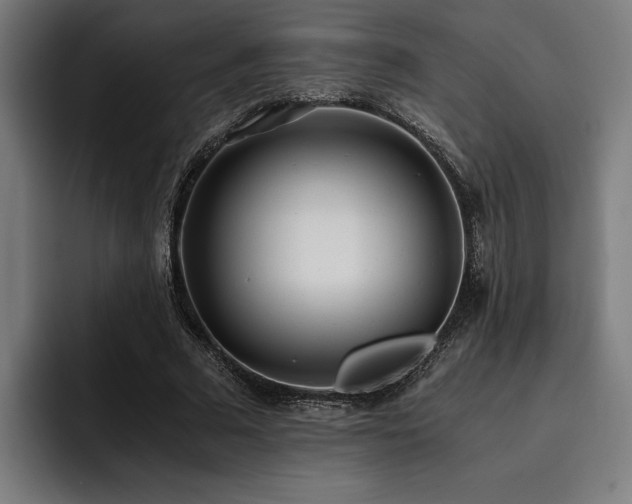 X0000093530681200710121559