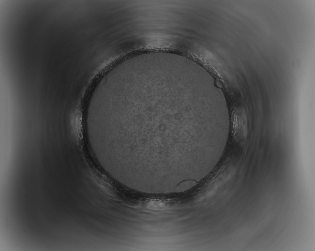 X0000093530684200710121559