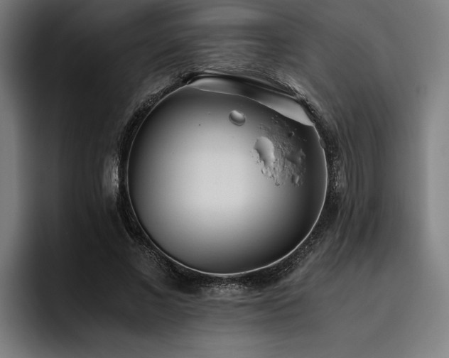 X0000093530685200710121559