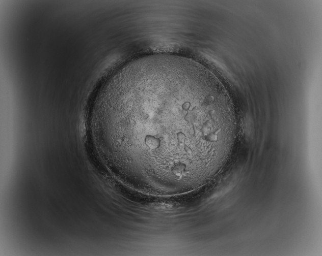 X0000093530687200710121559
