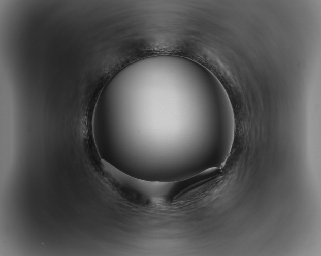 X0000093530689200710121559