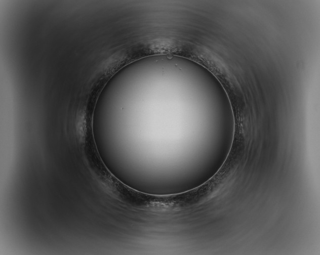 X0000093530690200710121559