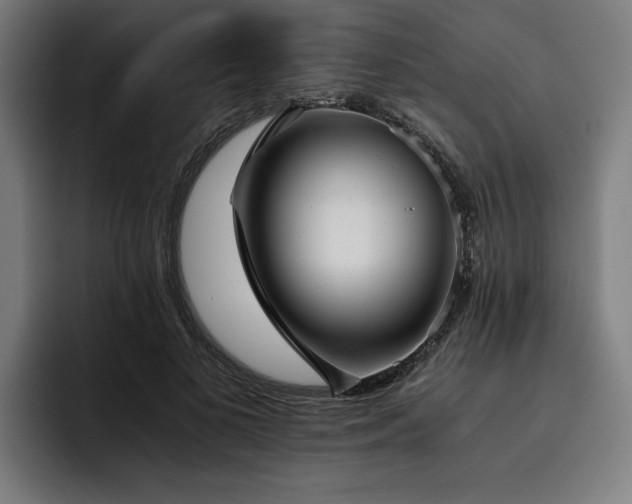 X0000093530693200710121559