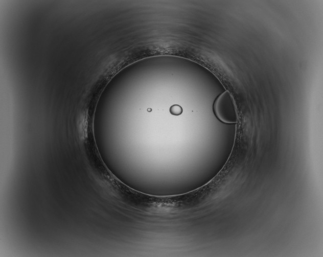 X0000093530694200710121559