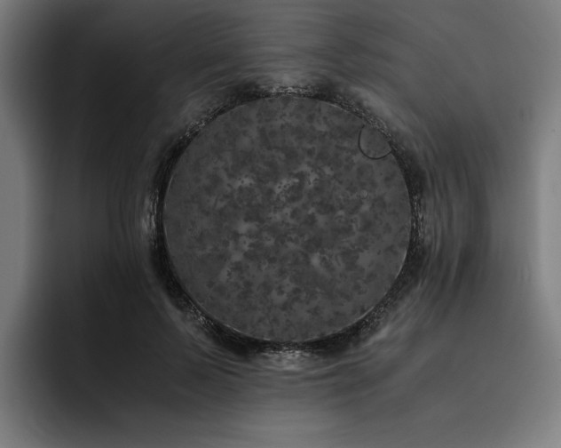 X0000093530695200710121559
