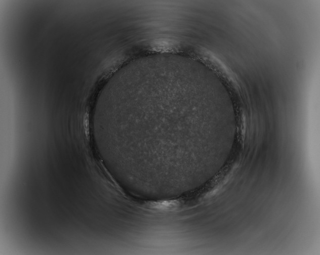 X0000093530696200710121559