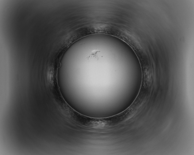 X0000093530698200710121559