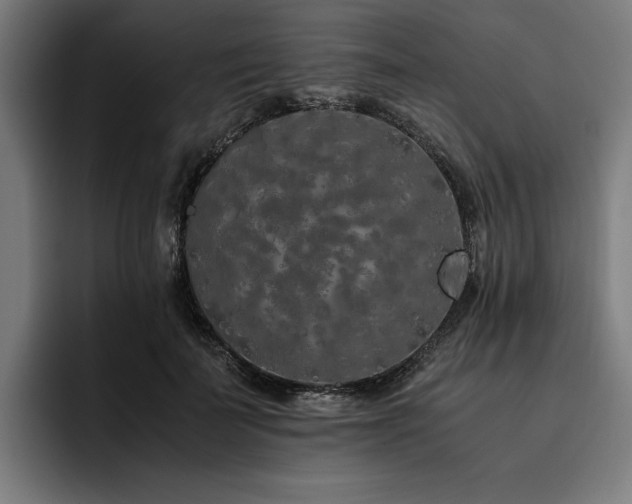 X0000093530699200710121559