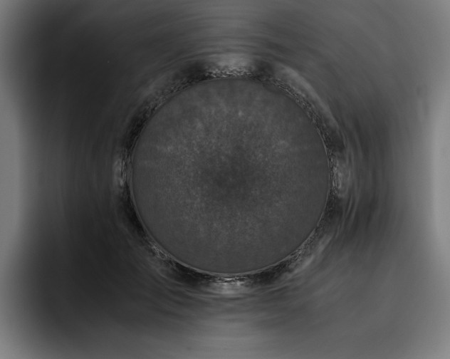 X0000093530701200710121559
