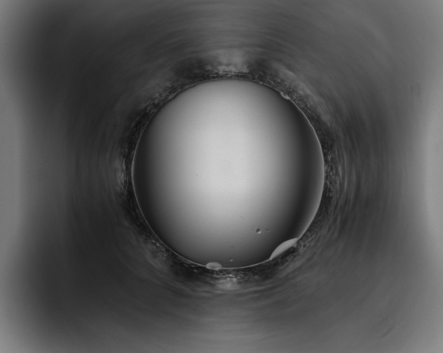 X0000093530704200710121559