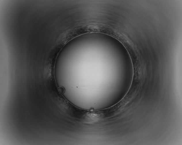 X0000093530706200710121559