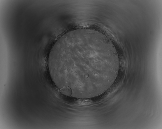 X0000093530707200710121559