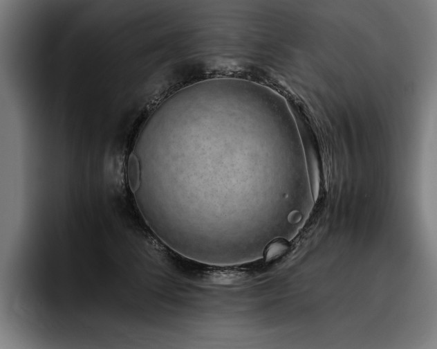 X0000093530708200710121559
