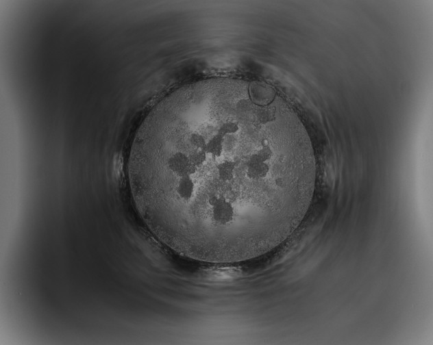X0000093530711200710121559