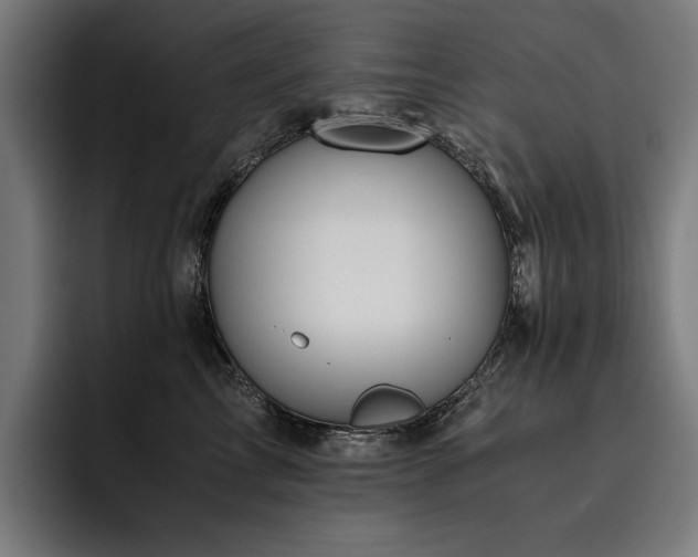 X0000093530713200710121559