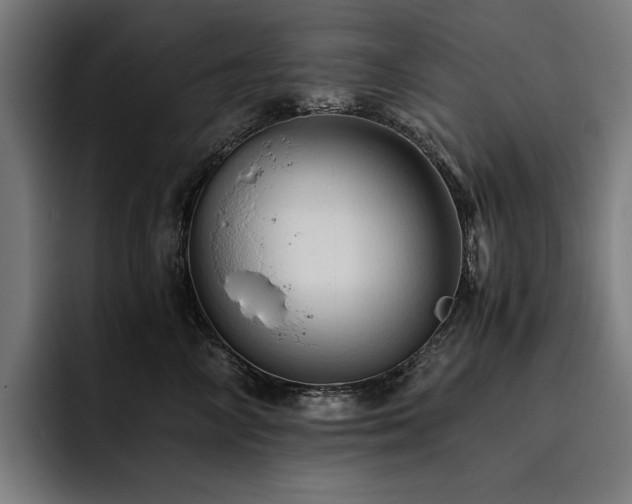 X0000093530714200710121559