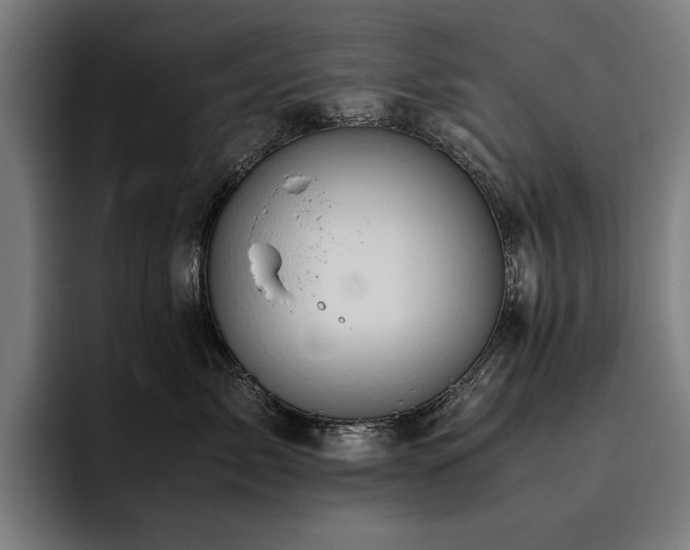 X0000093530717200710121559