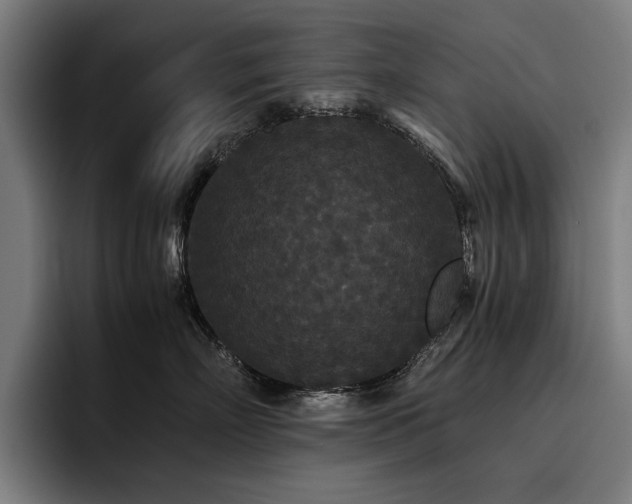 X0000093530718200710121559