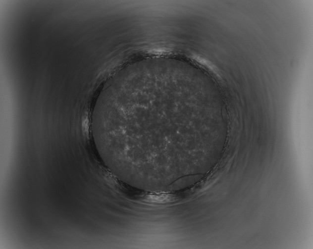 X0000093530720200710121559
