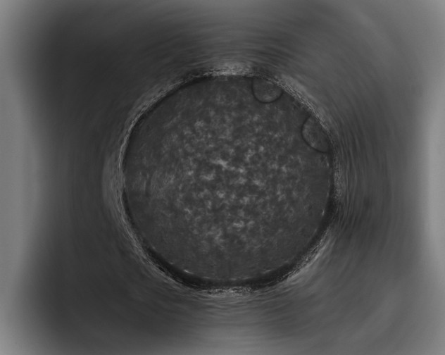 X0000093530721200710121558