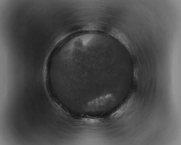 X0000093530724200710121558