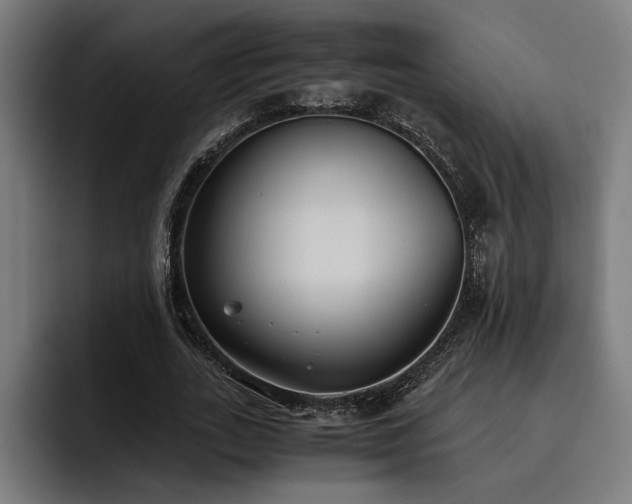 X0000093530727200710121559