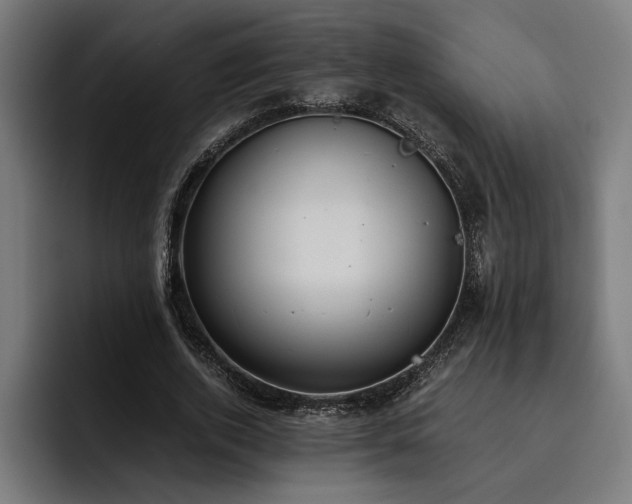 X0000093530728200710121559