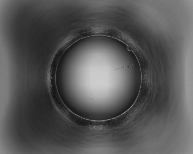X0000093530730200710121559