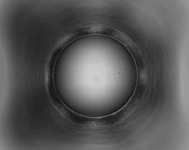 X0000093530732200710121559