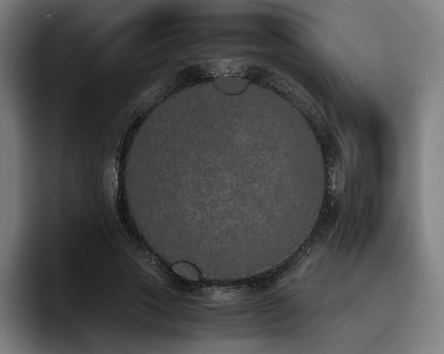 X0000093530733200710121559