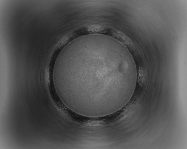 X0000093530734200710121559