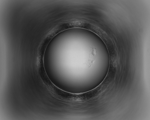 X0000093530735200710121559