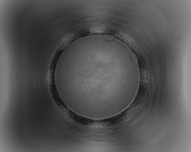 X0000093530738200710121559