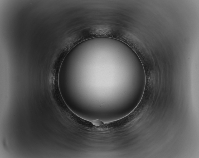 X0000093530739200710121559