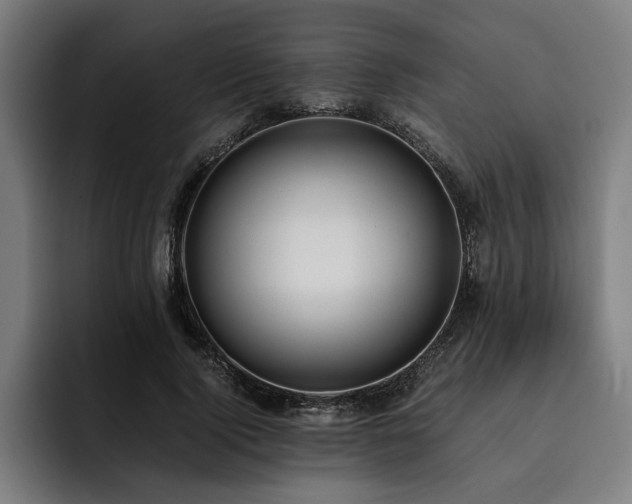 X0000093530740200710121559