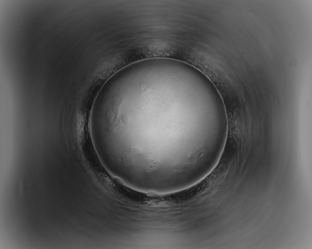 X0000093530742200710121559
