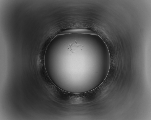 X0000093530743200710121559