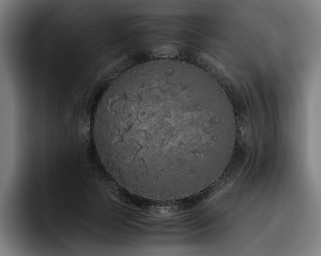 X0000093530745200710121559