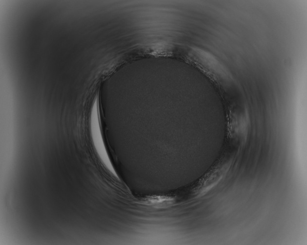 X0000093530748200710121559