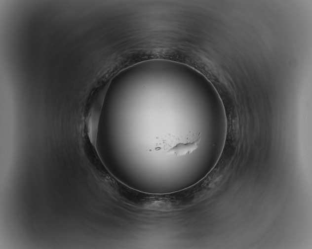 X0000093530750200710121559