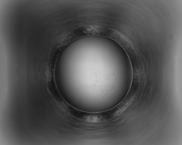 X0000093530751200710121559