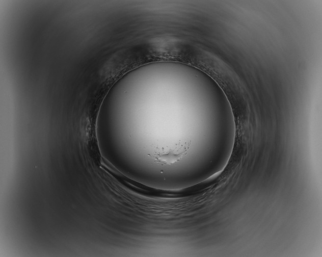 X0000093530752200710121559