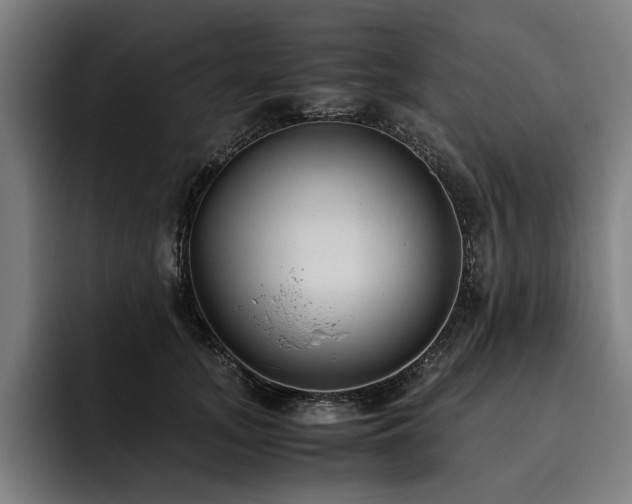 X0000093530755200710121559