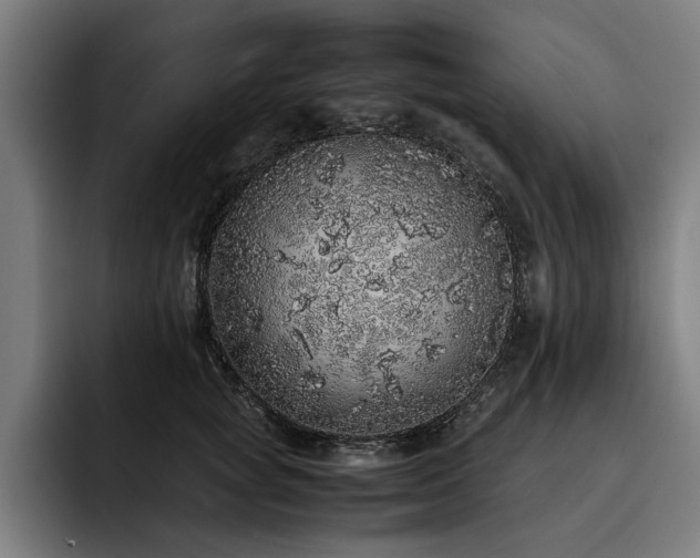 X0000093530757200710121559