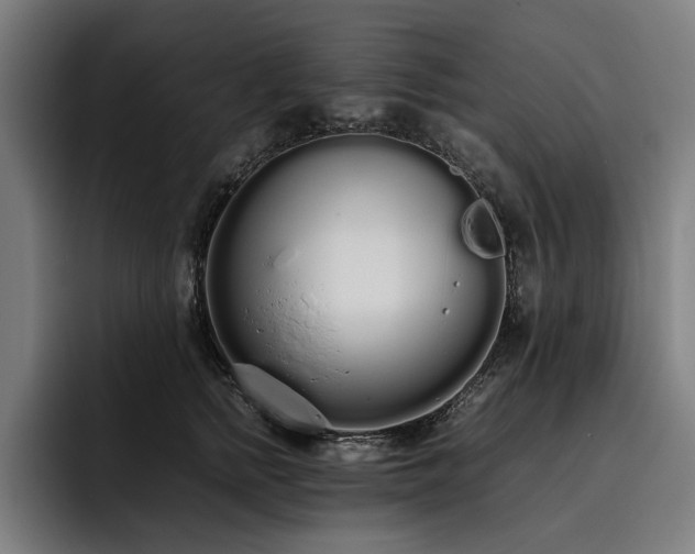 X0000093530758200710121559