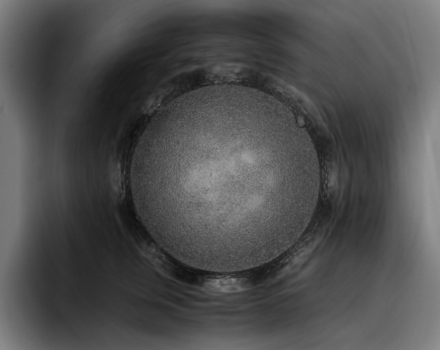X0000093530759200710121559