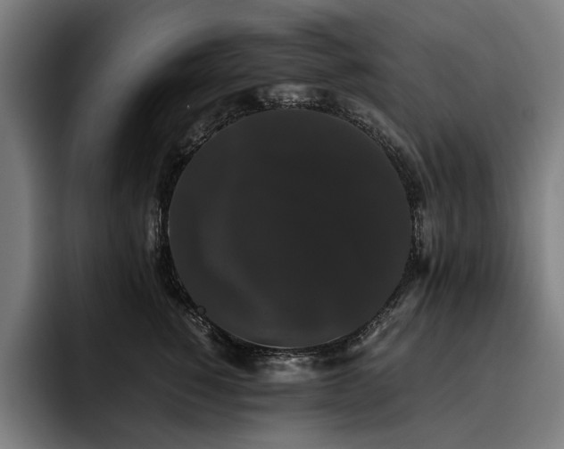 X0000093530760200710121559